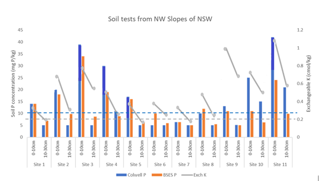 Soil test results from 11 locations in the Pallamallawa district. Data are shown for Colwell (blue bars) and BSES (orange bars) P, with units of mg P/kg, and exchangeable K (grey points joined by a line for each site), with units of cmol(+)/kg. The dashed blue line is the approximate critical Colwell P concentration below which a response to deep bands would be expected. The equivalent for exchangeable K is shown as a dashed grey line.