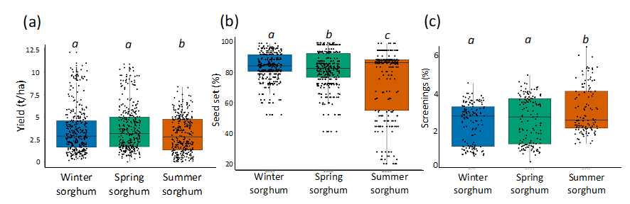 Three box plots showing outcomes from 15 trials sown across the Liverpool Plains, Northern NSW, Darling Downs, Western Downs and Central Queensland for the 2018/19 and 2019/20 seasons. (a) Mean yields for the three tested times of sowing (winter, spring, and summer); (b) the estimated seed set from the incidence of extreme air temperature events around flowering; and (c) percent screenings. Different italic letters on top of the boxplots indicate statistically significant differences (p<0.05).