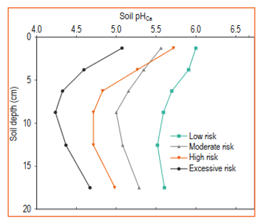  Line graph showing mean soil pHCa in surface and subsurface layers of the 55 acidic sites surveyed, categorised (Low, Moderate, High or Excessive) for potential risk of poor nodulation and reduced seedling vigour of acid sensitive pulse species (Burns and Norton page 16). pulses (Burns and Norton 2018). Mean soil pHCa in surface and subsurface layers of the 55 acidic sites surveyed, categorised (Low, Moderate, High or Excessive) for potential risk of poor nodulation and reduced seedling vigour of acid sensitive pulse species (Burns and Norton page 16). pulses (Burns and Norton 2018).