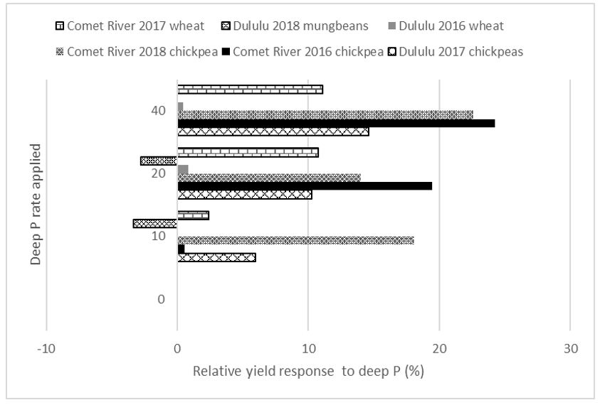 Bar graph showing mean relative grain yield responses to deep applied P treatments as a % of the zero P treatment for those sites that had relatively high Colwell P concentrations (22 mg/kg) in the top 10 cm of soil.