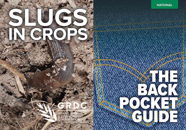Slugs back pocket guide image