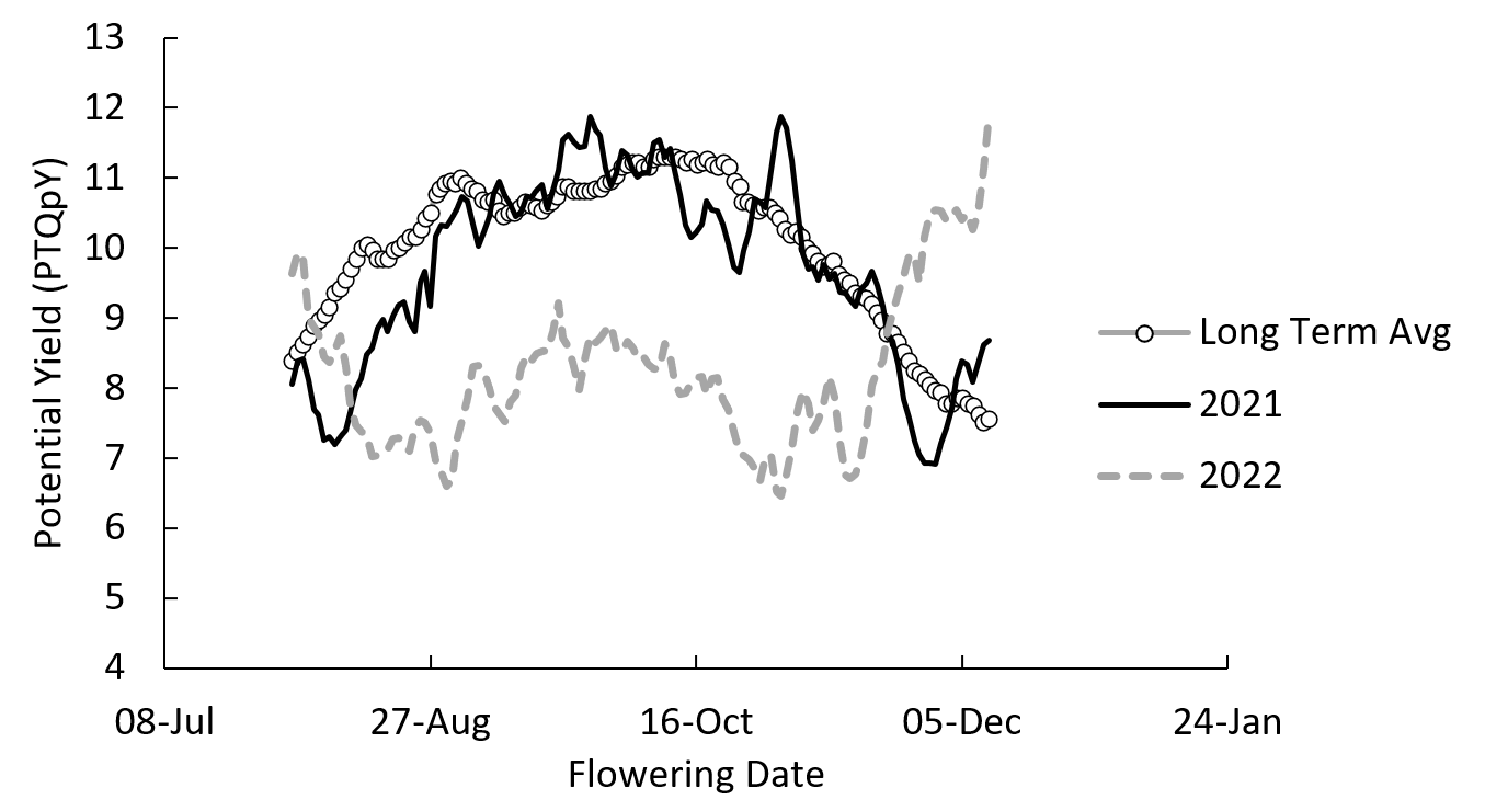 Line graph showing the long term (last 20 years based on Cootamundra BOM data) yield potential and relationship with flowering date at Wallendbeen based on the photothermal quotient (PTQ) compared to 2021, and 2022 YTD.