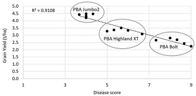 Botrytis grey mould severity (1–9 scale, plot disease) and grain yield (t/ha) for PBA BoltA, PBA HighlandXTA and PBA Jumbo2A at Hart in 2022.
