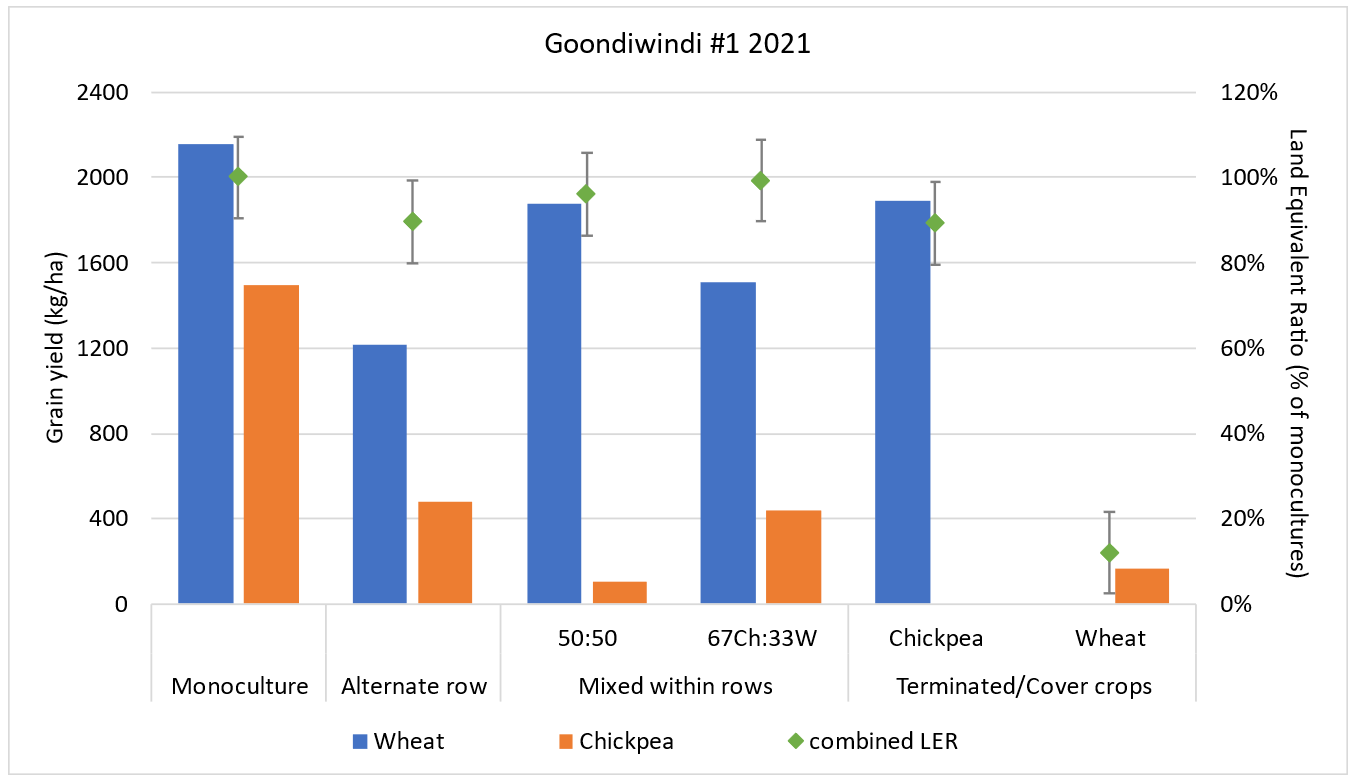 Column graph showing the grain yield of companion crops at Goondiwindi 2021 and land equivalent ratio (LER) showing yields relative to monocultures on standard row spacing. Error bars show LSD at p = 0.05; LERs with overlapping error bars are not significantly different.
