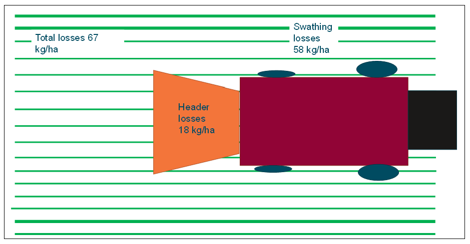 Diagram of harvest losses when harvesting windrowed mungbeans