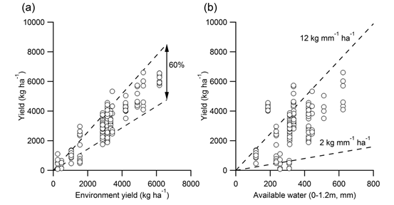 Figure 1 is two scatter graphs showing treatment mean yield (y axis) versus environment yield (x axis) i.e. mean of site yield from all the treatments (left), and (right) relationship between treatment means and available water estimated as soil moisture at sowing (0-1.2m) plus in crop rainfall and added irrigation (if any).