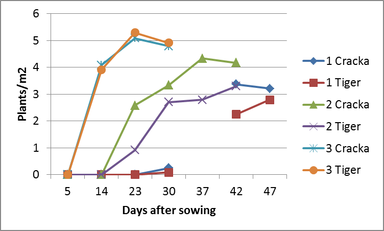 Figure 2 is a scatter graph showing plant establishment of varying sorghum hybrids at Breeza - Cracka and Tiger