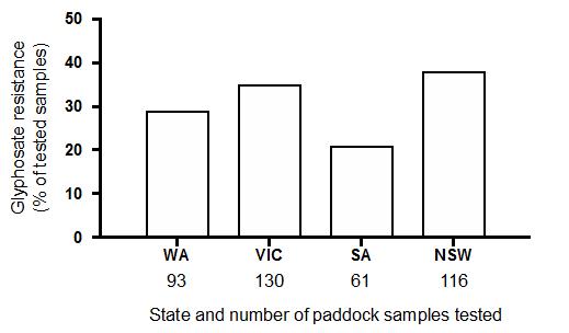WA, 93 samples tested, Glyphosate resistance in approx 30% of tested samples. VIC, 130 samples tested, Glyphosate resistance in approx 35% of tested samples. SA, 61 samples tested, Glyphosate resistance in approx 20% of tested samples. NSW, 116 samples tested, Glyphosate resistance in approx 38% of tested samples.
