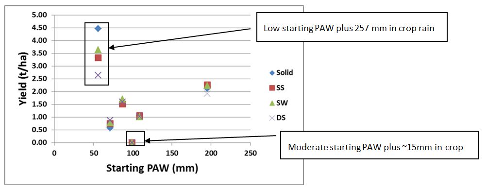Graph shows starting soil water and resulting grain yield from a selection of sites in northwest NSW