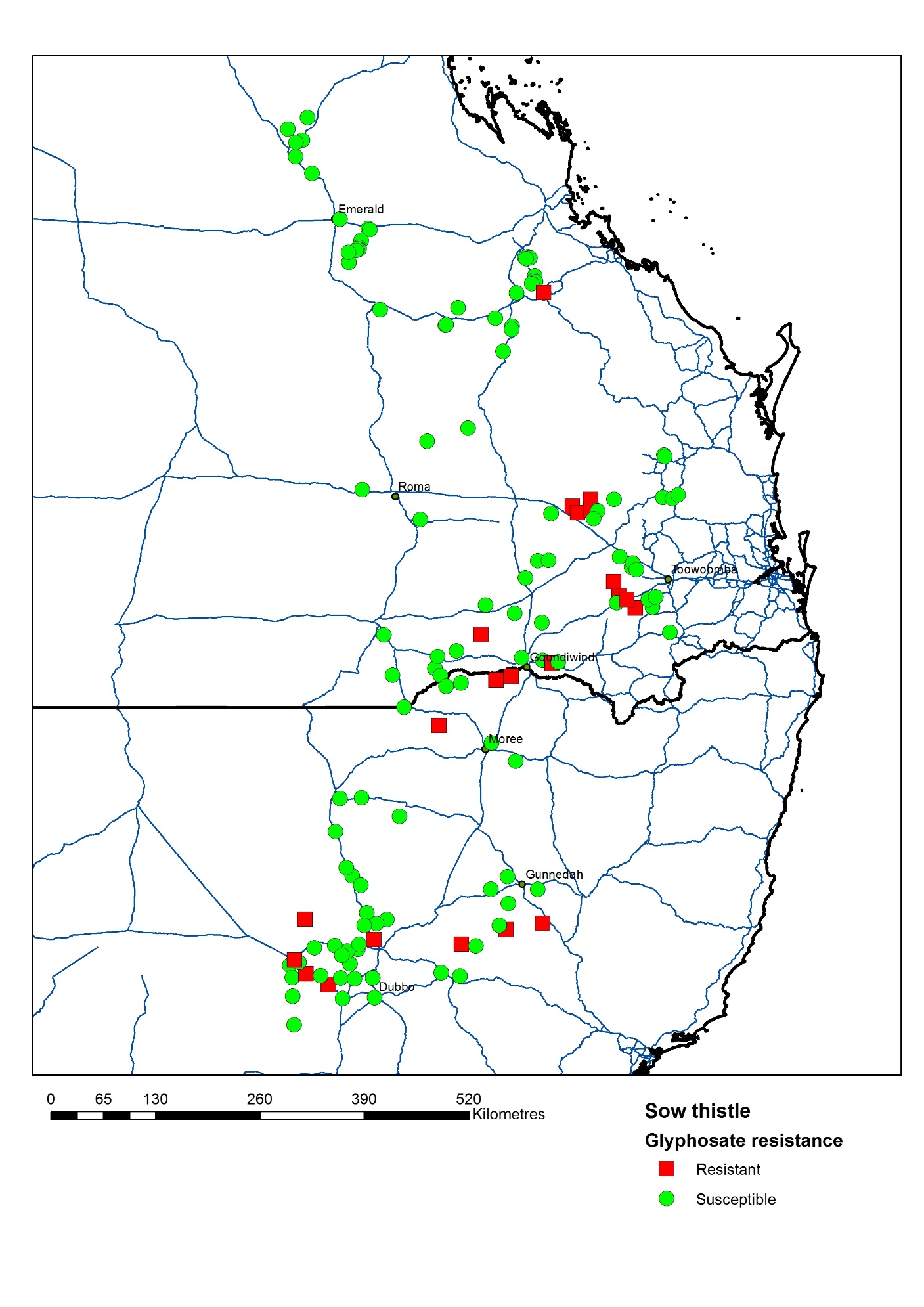 This is a map showing glyphosate resistant (red squares) and susceptible (green dots) sowthistle  (Sonchus oleraceus) populations across the northern grain cropping region. Results to date have shown that out of 154 populations tested, 26 have been confirmed resistant to glyphosate (≥20% survival) while another 17 have been identified as developing resistance (11-19% survival). The identified resistant populations are distributed throughout the northern cropping region.