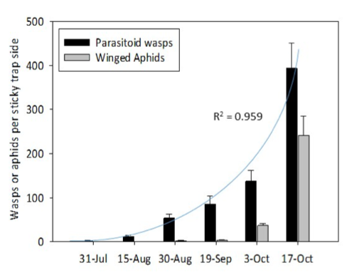bar graphs of wasps or aphids per stick tape over time