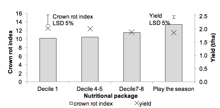 Bar graph the effect of nutrition on yield and crown rot index in wheat 
