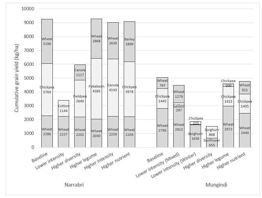 This graphs shows the cumulative grain yield at the Narrabri and Mungindi farming system experiments.
