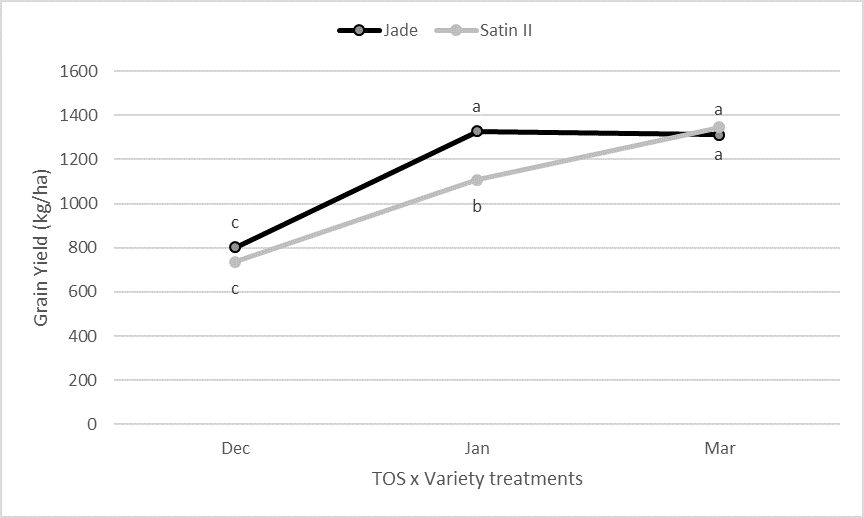 This line graph shows the comparison of mean grain yields for varieties across three times of sowing (TOS). Means with the same letters are not significantly different at the P=5% level (LSD = 159.4).