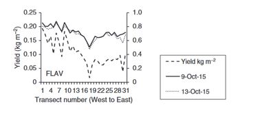  The graph shows corresponding grain yield and fluorometer measurements from a paddock near Kewell, Victoria in 2015 following the first observation of frost. The measurements were made along a transect of 31 rows on two dates, 9 October 2015 and 13 October 2015 (growth stages; Z61–69, Z71–75). Correlation coefficients were 0.91 and 0.90 for the two dates (Source: Figure revised from Perry et al. 2017).