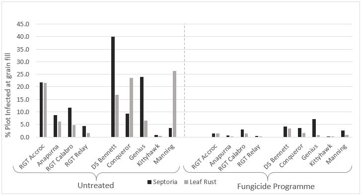 Control of Septoria Tritici Blotch and leaf rust in a range of wheat cultivars with a full program of fungicide application including seed treatment and three foliar sprays under supplementary irrigation conducted at the Hyper Yielding Research Centre in Hagley Tasmania during 2019.
