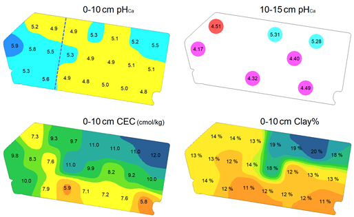 This coloured paddock map is of Case Study 2. ‘Henty 3’ paddock (48 ha) consists of two former paddocks (dashed line) where the western (left) side received 2.9 t/ha lime in 2017 versus 1.2 t/ha on the eastern (right) side (neither incorporated). Subsurface (10-15 cm) pH correlates well with 0-10 cm CEC (r2 = 0.50) and clay% (r2 = 0.88) however there is no correlation whatsoever with 0-10 cm pH (r2 < 0.01). The higher clay zone in the north-eastern corner has a relatively high subsurface pH compared to the remainder of the paddock, despite contrasting surface soil pH trends driven by recent liming, which has not moved beyond 5 cm depth. This example highlights the potential danger of using 0-10 cm data in isolation to develop site-specific liming plans.