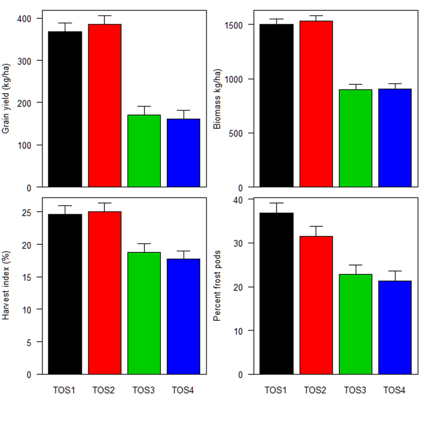 These four column graphs with error bars show the effect of sowing date on the grain yield, biomass, harvest index and frost damage of lentils at Loxton (SA) in 2019.  The sowing dates were time of sowing (TOS) 1: 17 April; TOS 2: 26 April; TOS 3: 6 May; TOS 4; 13 May.  Data is averaged across 6 varieties: PBA Hurricane XT , PBA Jumbo2 , PBA Bolt , PBA HighlandXT , PBA Ace  and PBA HallmarkXT .