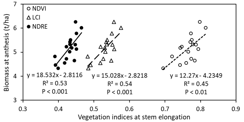 This figure is a linear regressions between vegetation indices (measured at stem-elongation) and anthesis biomass of 17 wheat genotypes grown in alkaline sodic dispersive subsoil at Grogan, SNSW in 2019. NDVI = normalised differences in vegetation index; LCI = Leaf chlorophyll index; NDRE = Normalised difference red edge.
