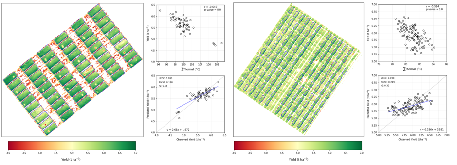 Figure 3.  Sum of thermal remote sensing over four sample dates in 2019 (left) and 2020 (right) predictions of yield, note predictions <3t/ha were made null.