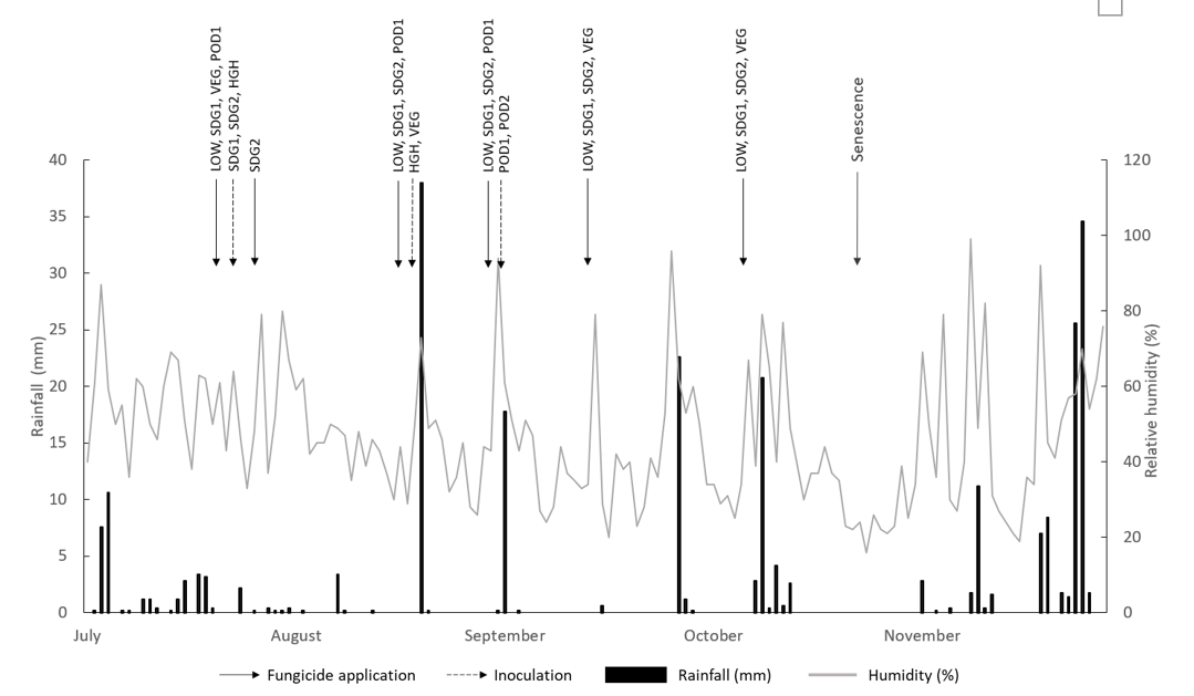 Line and column graph showing timing of seedling, vegetative and podding Ascochyta blightinoculation and fungicide treatments as triggered by rainfall (mm) events of sustained 6-12-hour leaf wetness at Trangie Agricultural Research Centre in 2021.