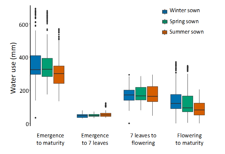 Box plot showing modelled crop water use (mm) for three tested times of sowing (winter, spring, and summer) from crop emergence to maturity, emergence to 7 leaves (or floral initiation), 7 leaves to flowering, and flowering to maturity. Results are APSIM simulations for the 15 sites and combined three times of sowing, six commercial hybrids and four plant populations, sown across the Liverpool Plains, Northern NSW, Darling Downs, Western Downs and Central Queensland for the 2018/19 and 2019/20 seasons.
