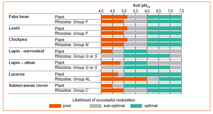 Bar graph showing the tolerance of legume species and their associated rhizobia to a range of soil pHca and the likelihood of successful nodulation (poor, sub-optimal or optimal). (Extracted from Burns and Norton 2018).
