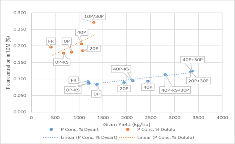 A scatter plot showing the relationship between biomass P concentration and chickpea grain yield in the P trials at Dululu and Dysart trial sites for 2019.