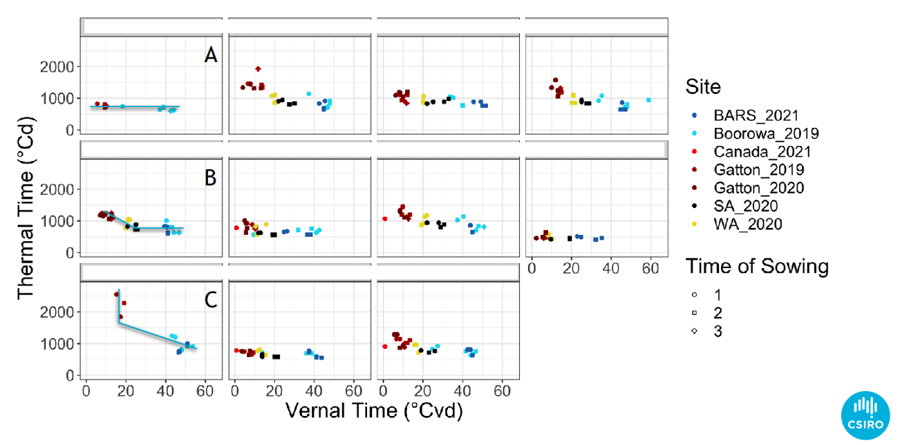 Multiple scatterplots showing data from the canola genetics project CSP1901-002RTX detailing three different vernal responses: A. no vernal response, B. facultative vernal response C. obligate vernal response.