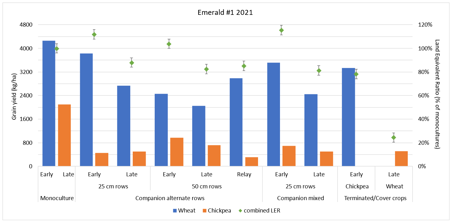 Column graph showing the grain yield of companion crops at Emerald 2021 and land equivalent ratios (LER) showing yields relative to monocultures on standard row spacing. Error bars show LSD at p = 0.05; LERs with overlapping error bars are not significantly different.