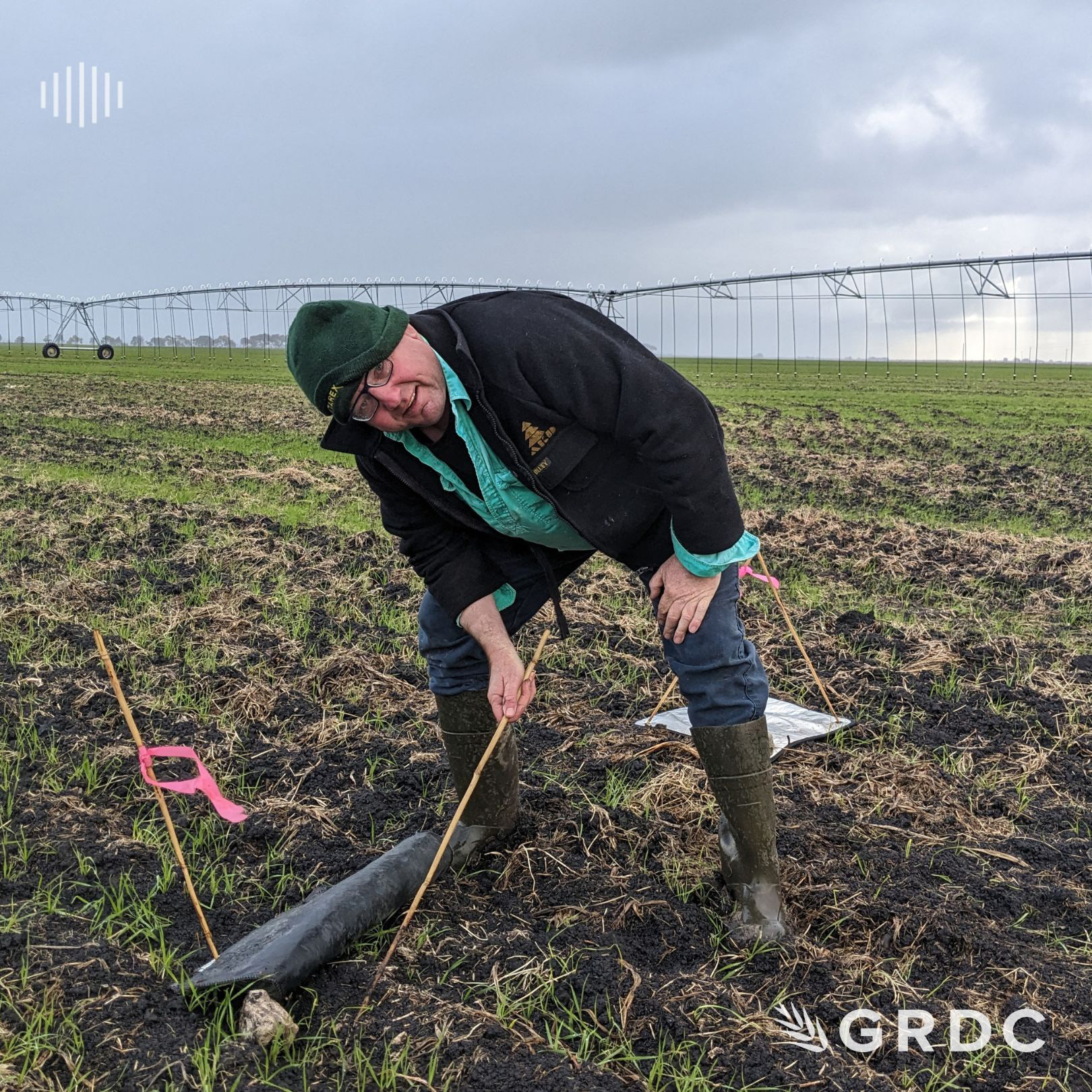 2023 Southern Region Slug Update GRDC   Slugs This Season, Michael Nash 1 