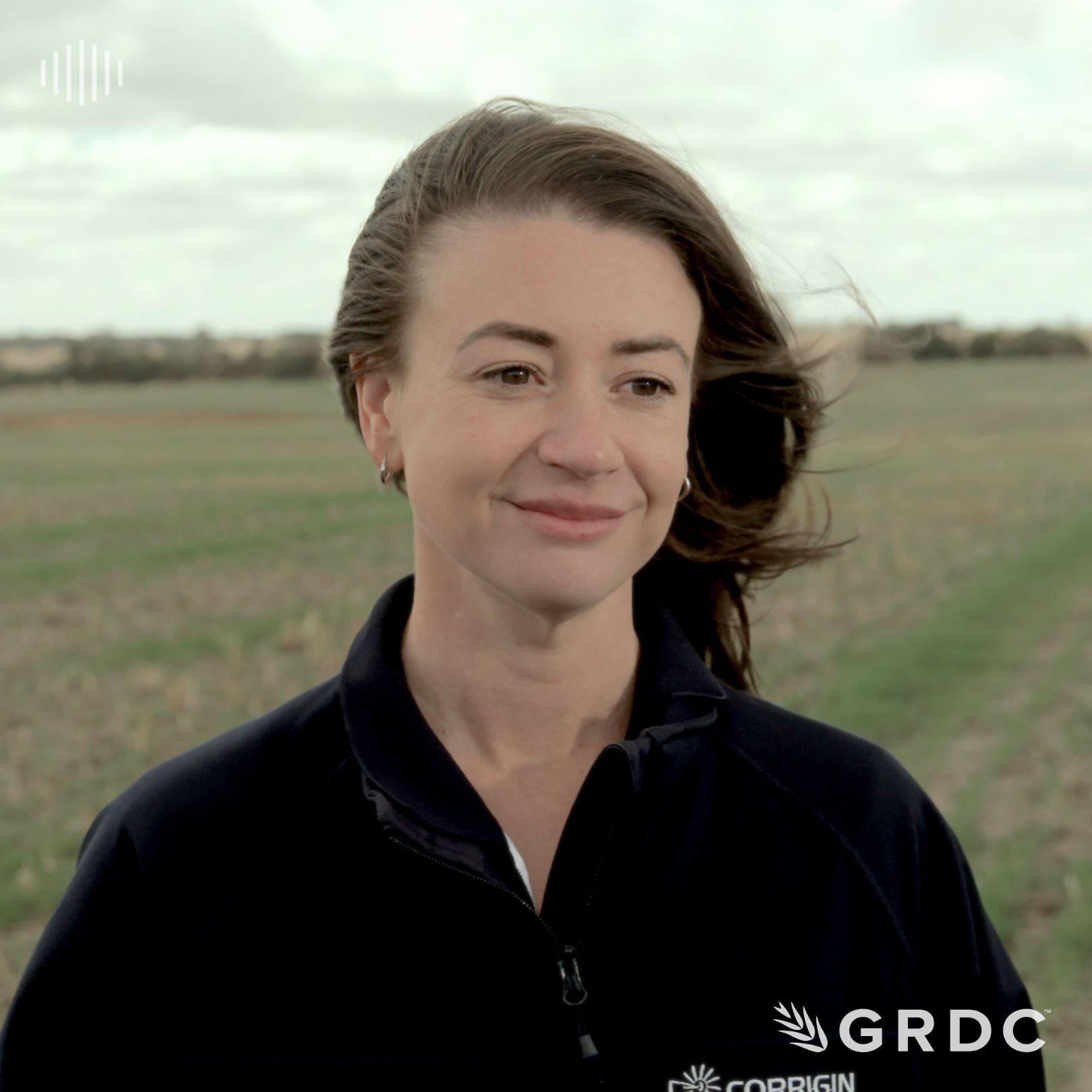 Measuring the impact of organic soil ameliorants