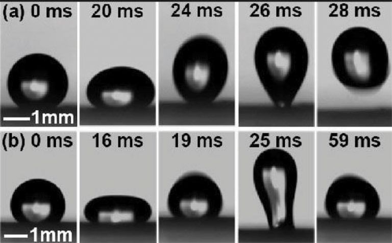 Figure 4 larger water-based droplet bouncing from a hydrophobic leaf surface