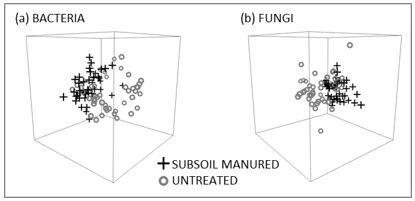 Infographic showing bacterial (a) and fungal (b) communities two years after a sodic clay subsoil was amended with 20t/ha poultry litter. Each data point in the ordination represents a microbial community from a subsoil manured or untreated soil sample. Distance between points denotes ecological distance between samples. The two treatments separate into clusters that are significantly different from each other (P<0.001).