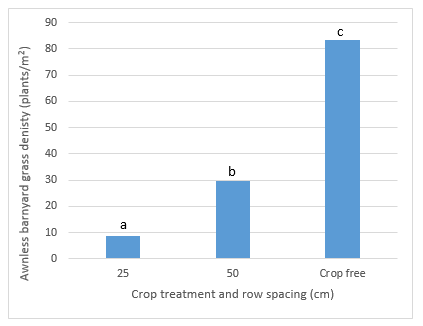 Figure 8 is a column graph which shows awnless barnyard grass density (plants/m2) as influenced by wheat row spacing (cm) and the absence of crop. Density was assessed close to crop maturity on the 12th December 2018. Bars with a different letter are significantly different at the 5% significance level.