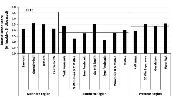 Figure 2. Average root disease ratings in cereal crops sampled eight weeks after emergence from paddocks monitored by the National Paddock Survey project in 2016. Horizontal lines represent the average score in each region.