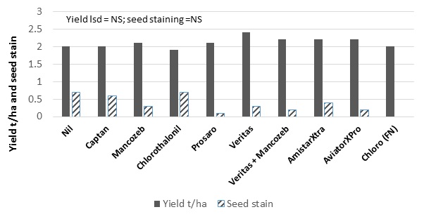 Column bars illustrating effect of two sprays of foliar fungicides on yield expressed as tonne per hectare and seed staining (0-3) of PBA Flash lentils infected with ascochyta blight at Hart during 2017 Note Chloro(FN) equals fortnightly sprays of chlorothalonil.
