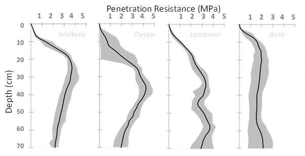 Diagram of penetration resistance (Mpa) in response to depth at key Sandy Soils Research sites. Black line represents the average, with the shaded grey indicating the range at the site.