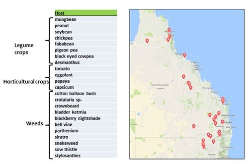 This is a map of collection sites in the Northern Region for phytoplasma from crop and weed hosts.