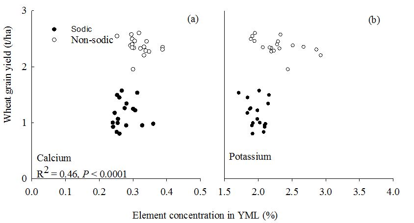 This is a set of two scatter graphs showing relationships between element concentration in young mature leaf of wheat at anthesis and wheat grain yield at (a) non-sodic site and (b) sodic site in 2018