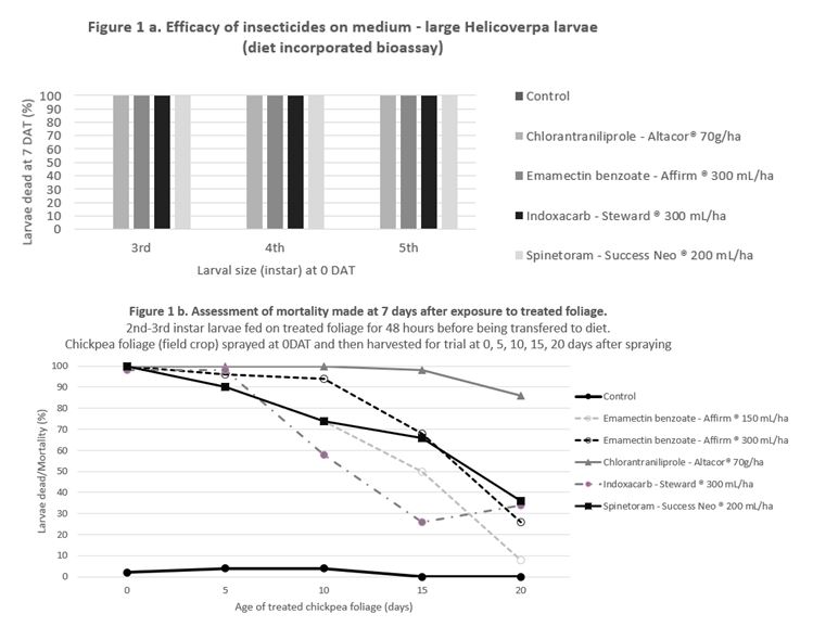 These two graphs show the relative efficacy (a) direct contact and (b) residual, of softer options for Helicoverpa control in chickpea and mungbean crops. The results show that these products are equally effective on 3rd, 4th or 5th instar larvae that receive a lethal dose of the product – as would be achieved with good spray coverage (Figure 1a). The data in Figure 1b shows the relative efficacy of these products from 0 – 20 days after treatment in the field (at 5-day intervals).