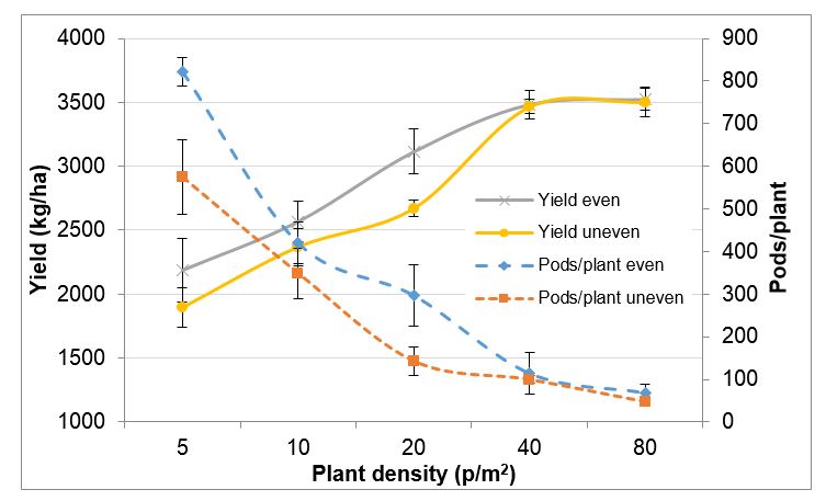 Line graph of plant density and spacing 