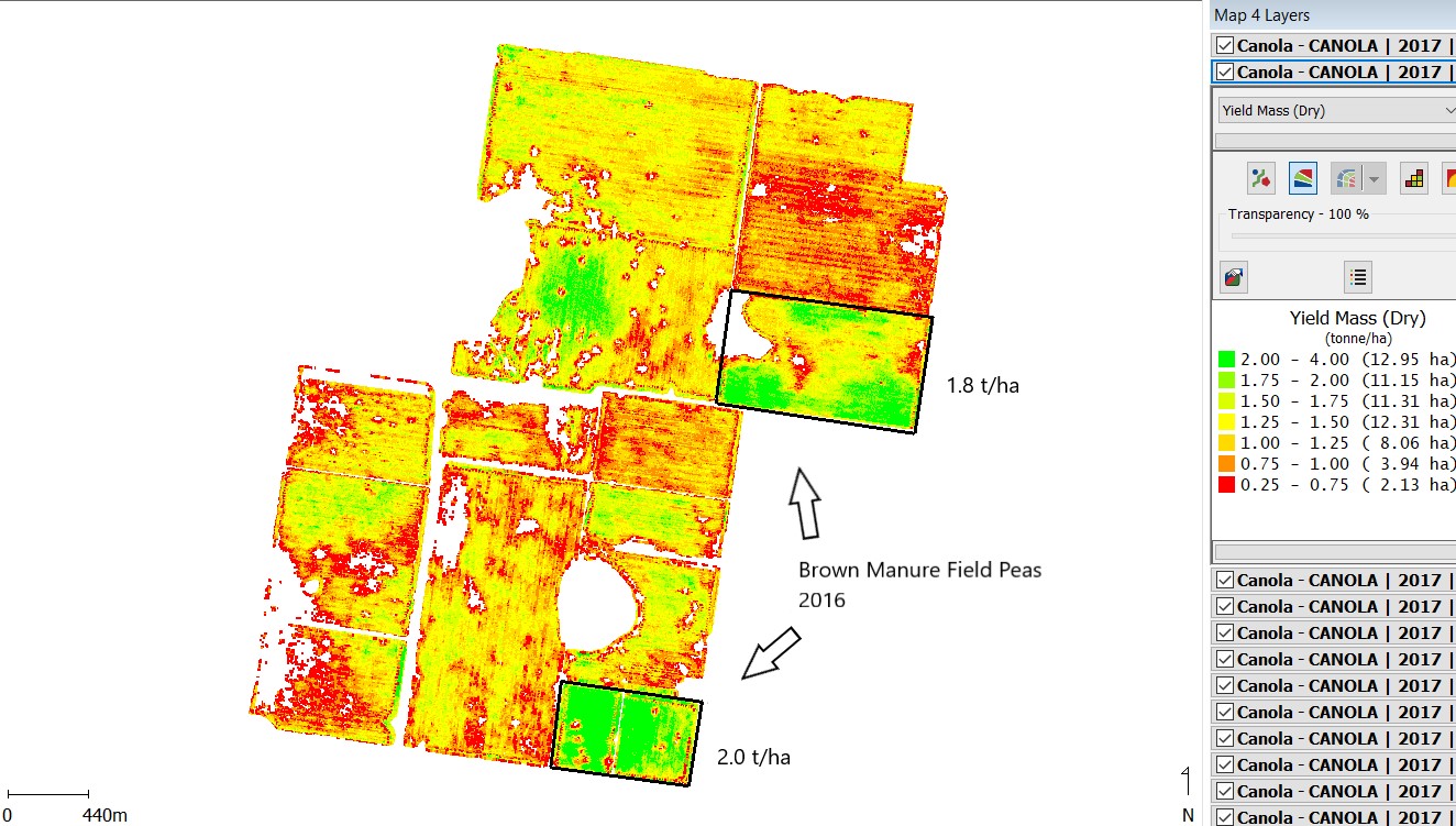 Figure 1. Yield map of 2017 canola crop = Figure 1. Yield map showing the influence the previous crop has on canola yield measured in tonnes per hectare. Previous crops were barley and brown manured field pea. Canola had a 60% higher yield following brown manured field pea.