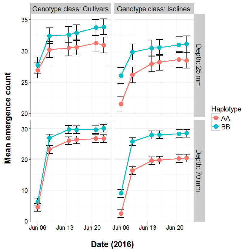 These four line graphs show the emergence of wheat commercial cultivars carrying conventional dwarfing genes and tall isolines in Young background in the NSW MEF at Yanco in 2016. Sowing depth treatments were 25 mm and 70 mm depth. 12 cultivars and 12 isolines were grouped according to the presence of the coleoptile length promoting gene (BB, long coleoptiles) and the lack of the gene (AA short coleoptiles).