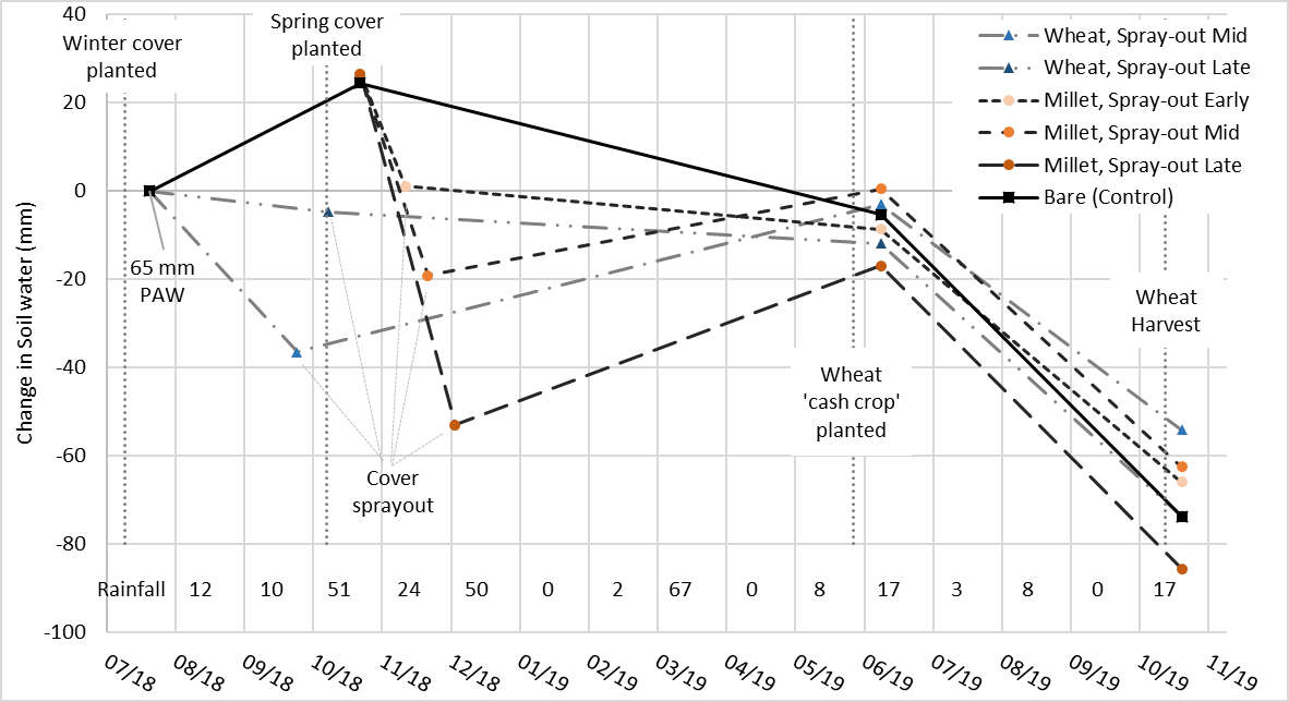 This line graph shows the change in plant available water for a range of cover crops at the Yagaburne site, measured with soil cores to 150 cm depth. Grids represent each month and numbers in the bottom row are mm rainfall for that month.