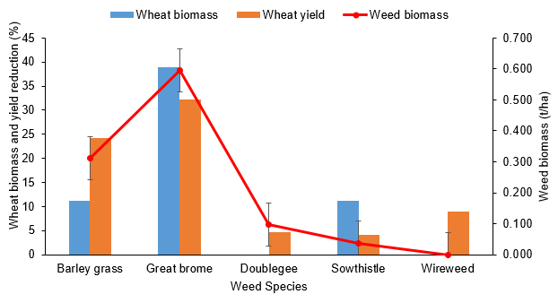 image of biomass