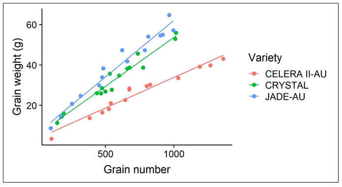 This scatter-plot with line of best fit shows the relationship between grain weight (g/plant) and grain number for Celera II-AU , Crystal  and Jade-AU .