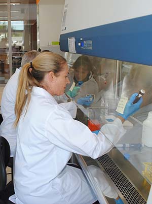 Research associate Jordi Muria Gonzalez, at the Centre for Crop and Disease Management laboratories. Photo: GRDC