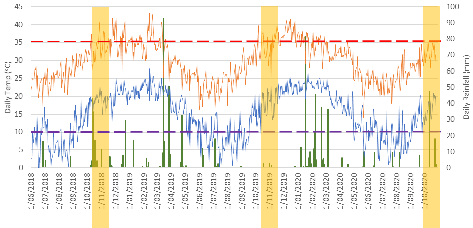 This climate graph shows the daily air temperature range and rainfall over the duration of the project to date. Graph shows daily minimum (blue), maximum (orange) temperatures and daily rainfalls (green bars). The red dotted line indicates where heat stress will be experienced, the purple line indicates when the chance of ergot may increase. The yellow bars represent the 3 flowering periods for 2018, 2019 and 2020 trials.