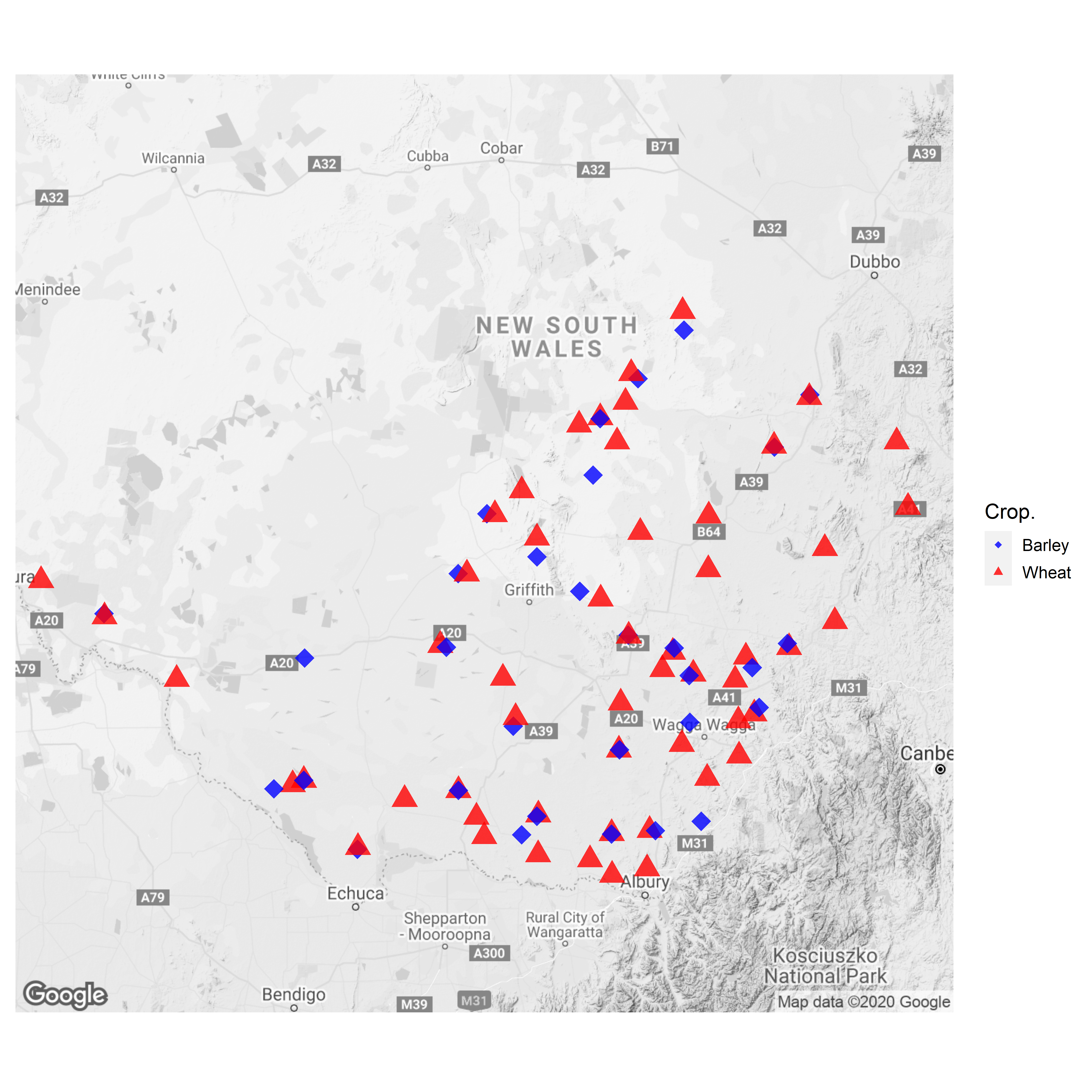 This map shows the location of barley (blue diamonds) and wheat (red triangles) paddocks sampled across southern NSW in 2020. 